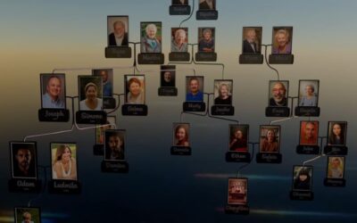 Votre arbre généalogique évolue !